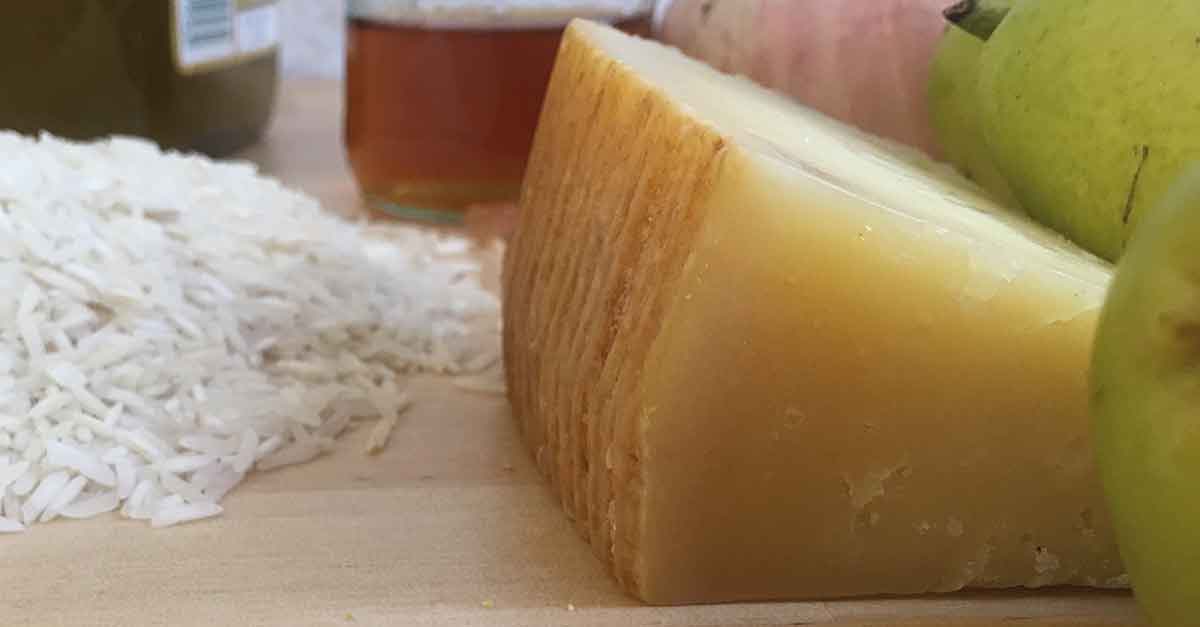 formaggio pecorino-siciliano-DOP