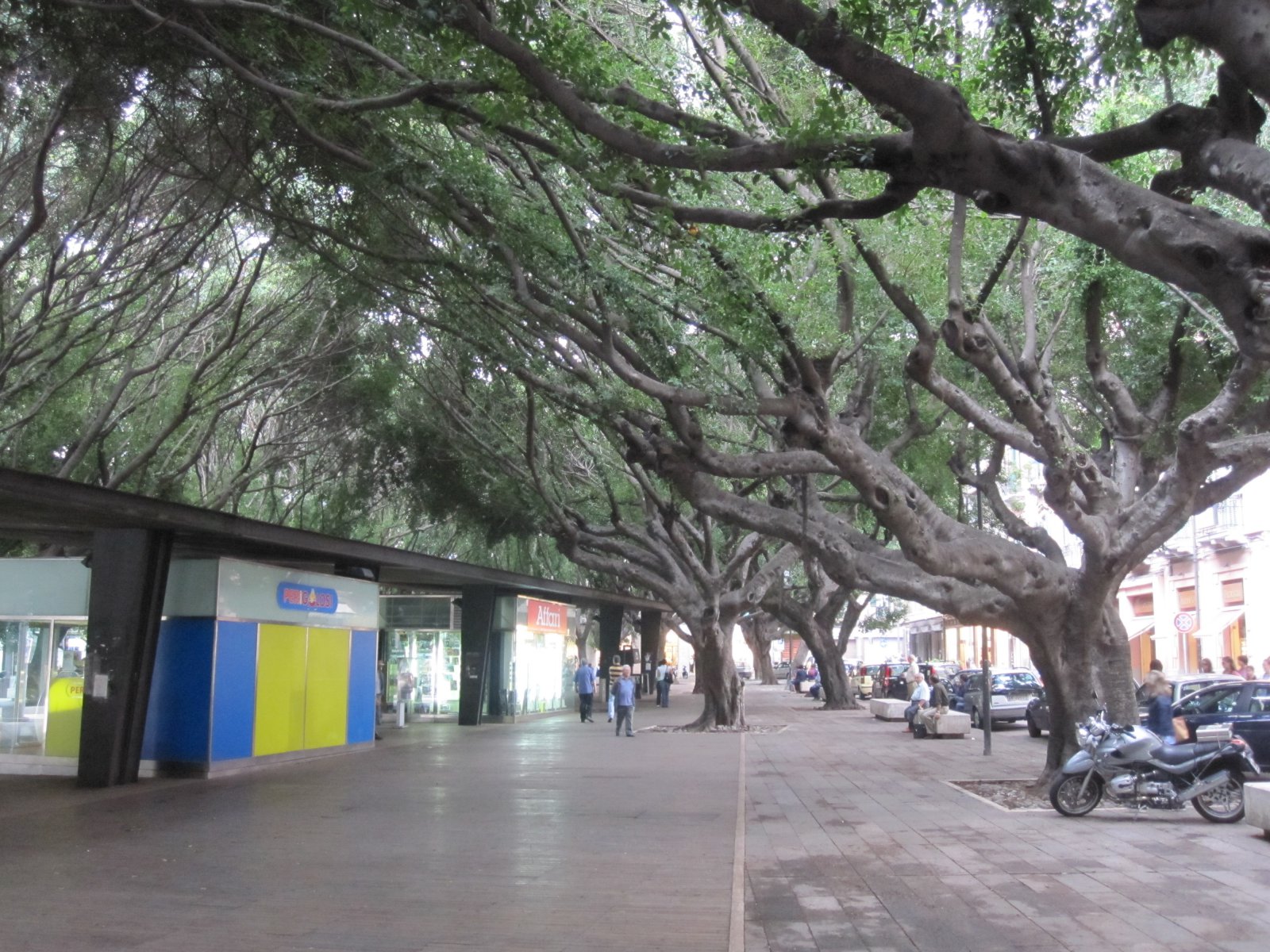 piazza-cairoli-messina