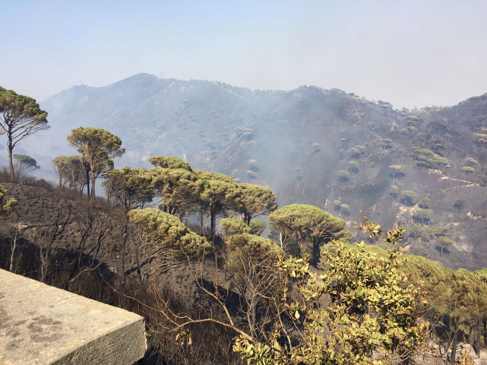 Incendi-Messina