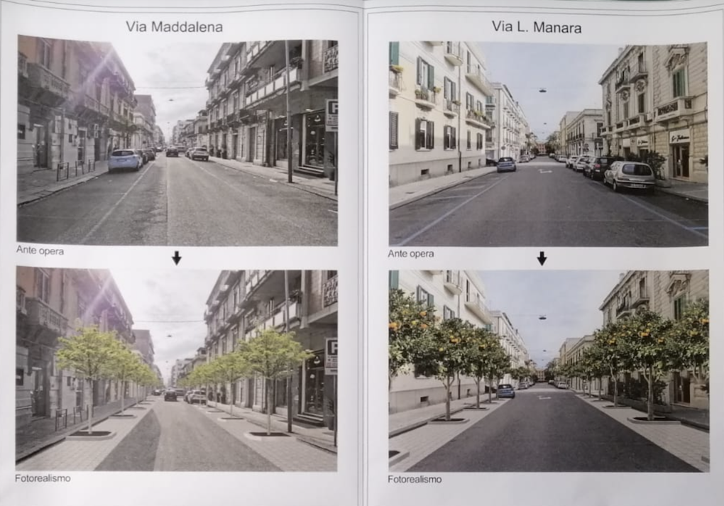 ForestaMe, il consigliere Renato Coletta «Interventi inadeguati e