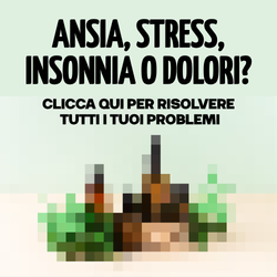 hanfibio.com